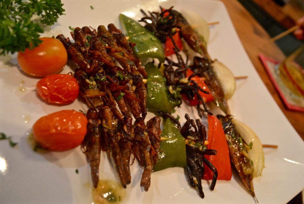 Insect skewers at the Bugs Cafe, Siem Reap, Cambodia