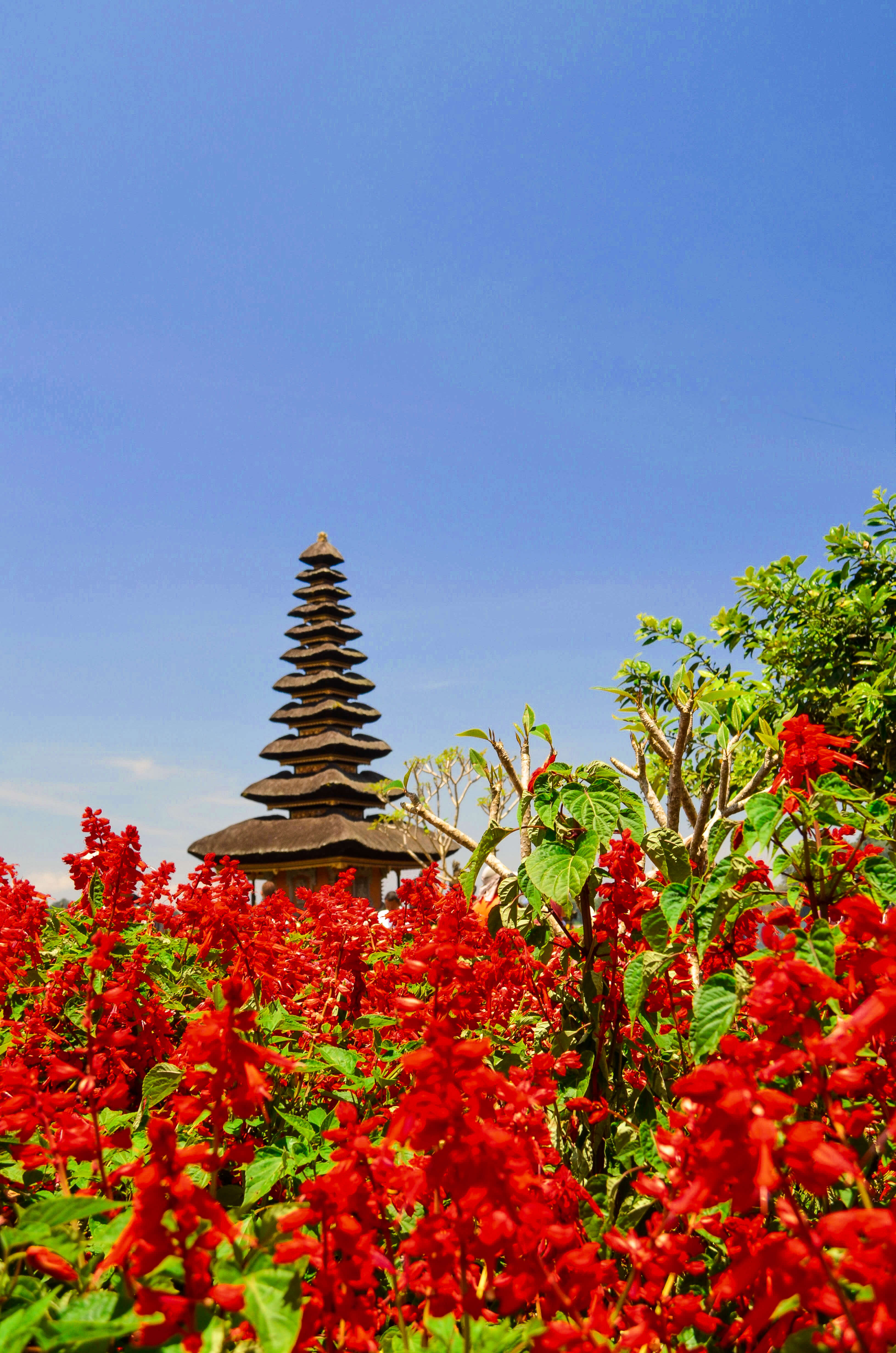 Bali Golden Tour - Ulun Danu Beratan temple in Northern Bali, Indonesia