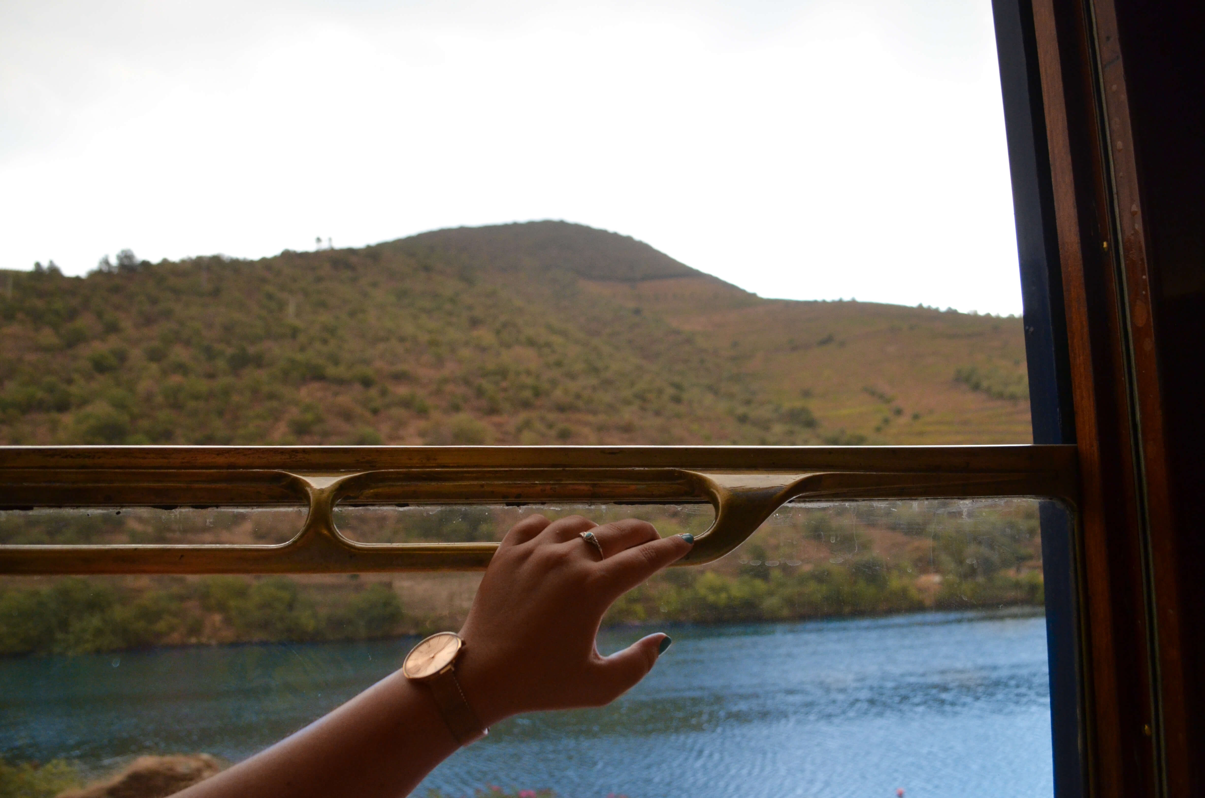 Watching the Douro valley pass by onboard The Presidential gourmet food train, Porto, Portugal
