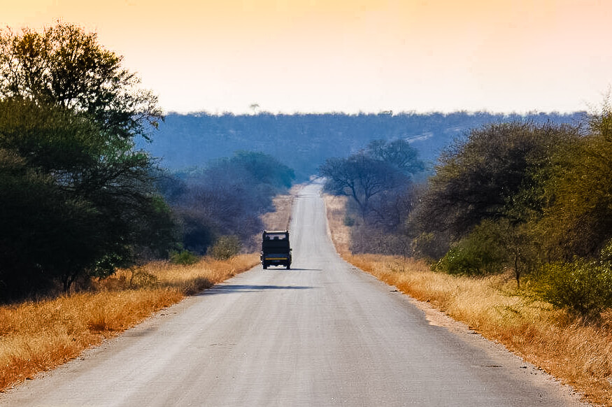Kruger National Park safari photos - Sunset drive