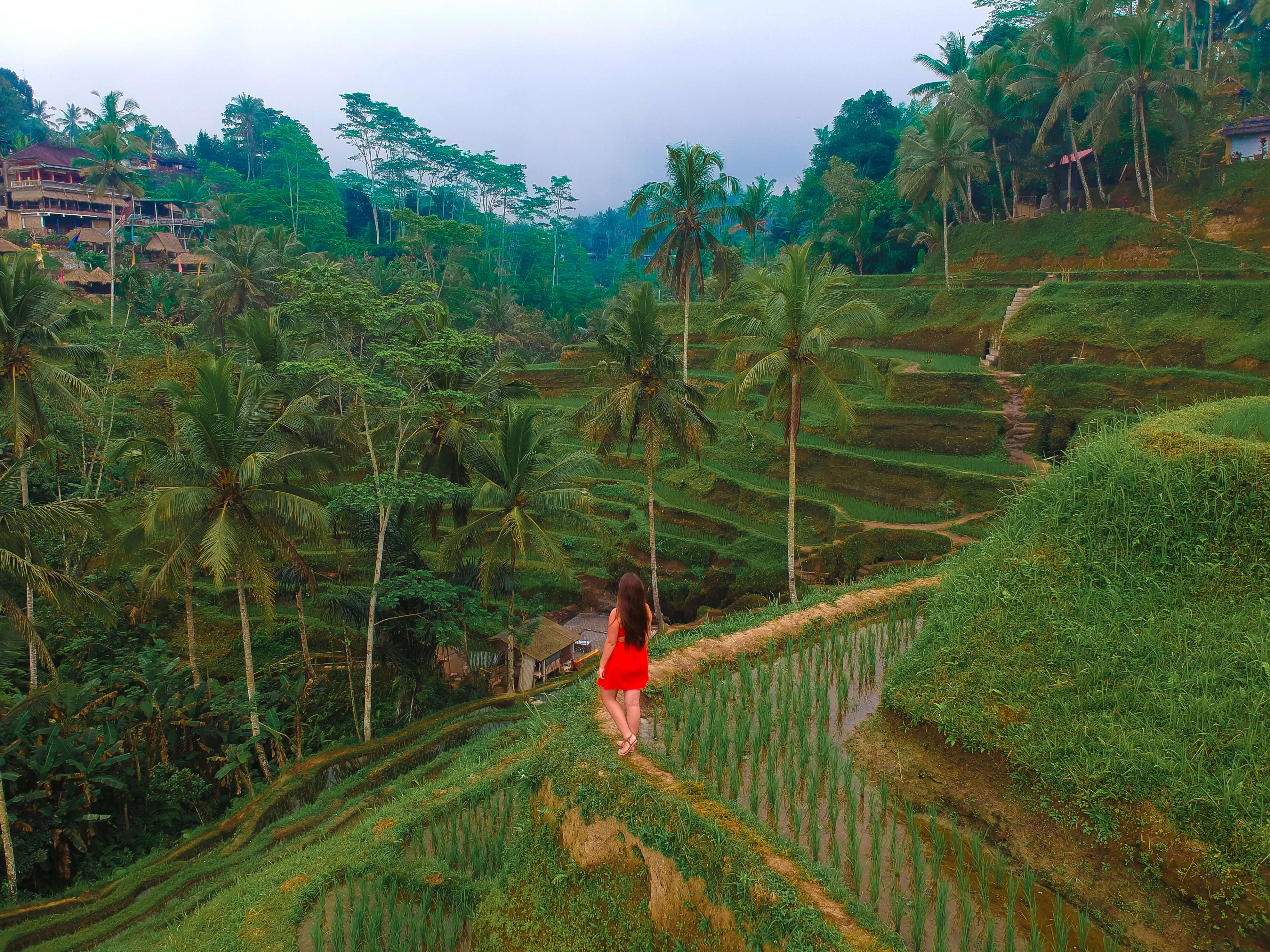 What to do and see - Tegallalang rice terraces in Ubud, Bali, Indonesia