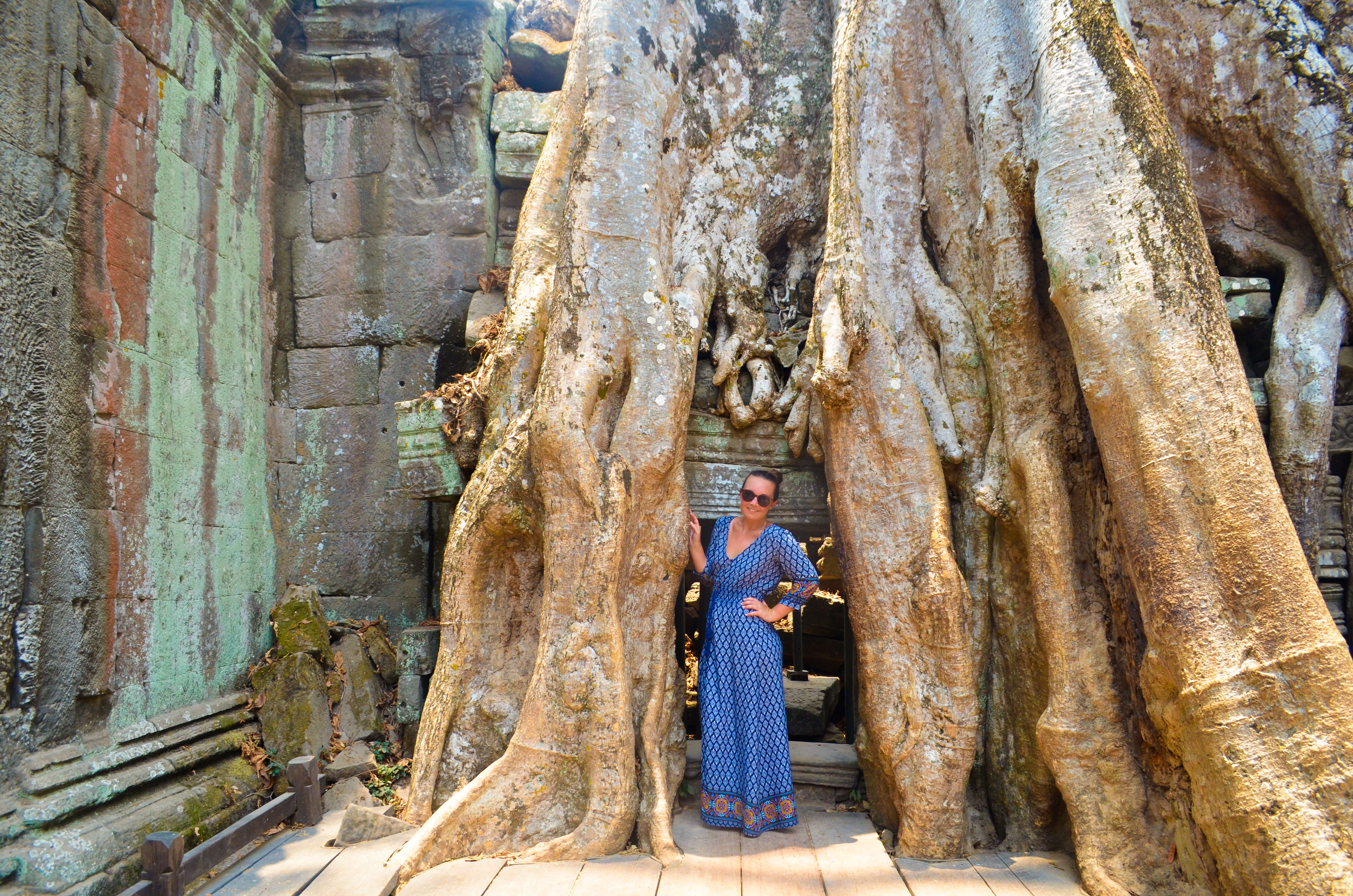 What to do and see - visit Ta Prohm tomb raider temple in Siem Reap, Cambodia