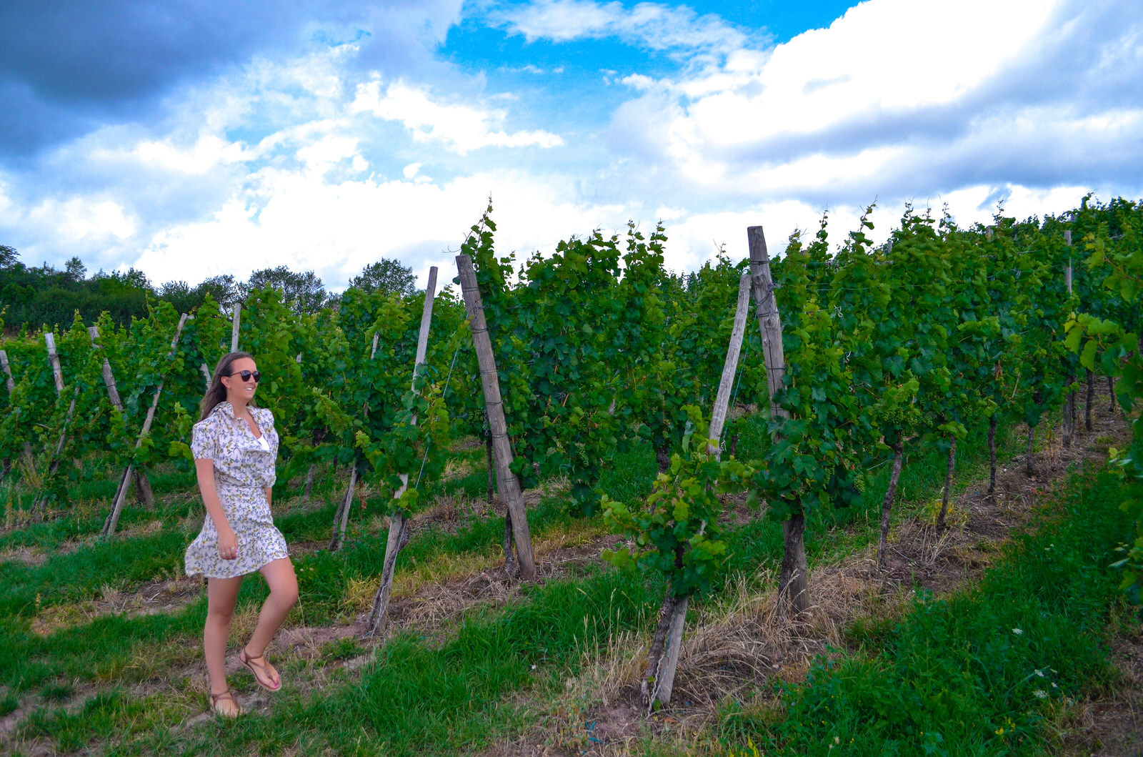 Luxembourg road trip - Vineyard viewpoint in Remich, Luxembourg