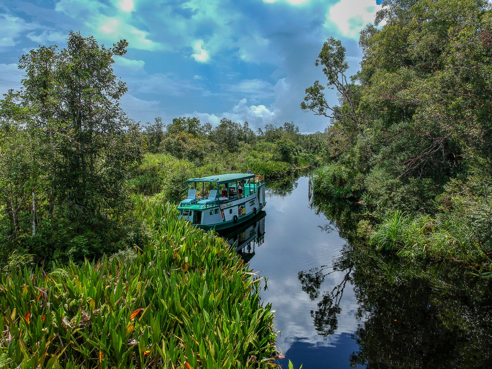 Visiting orangutans in Borneo, Indonesia - staying on board a kelotok boat in Tanjung Puting