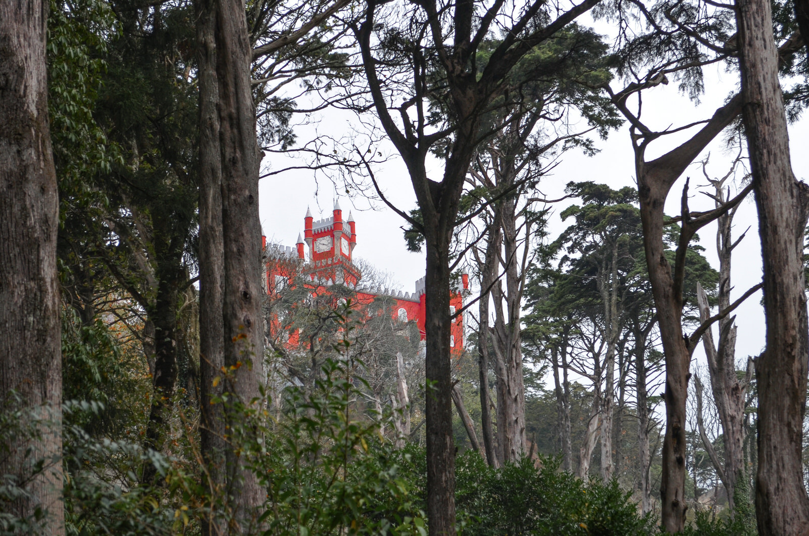 Sintra national park, Portugal photos - Pena palace gardens