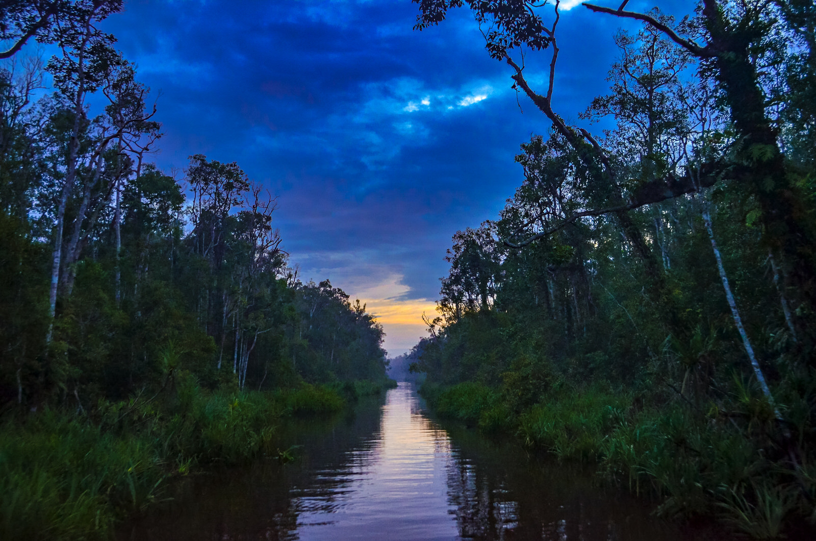 Visiting orangutans in Borneo, Indonesia - cruising down the river at sunset in Tanjung Puting