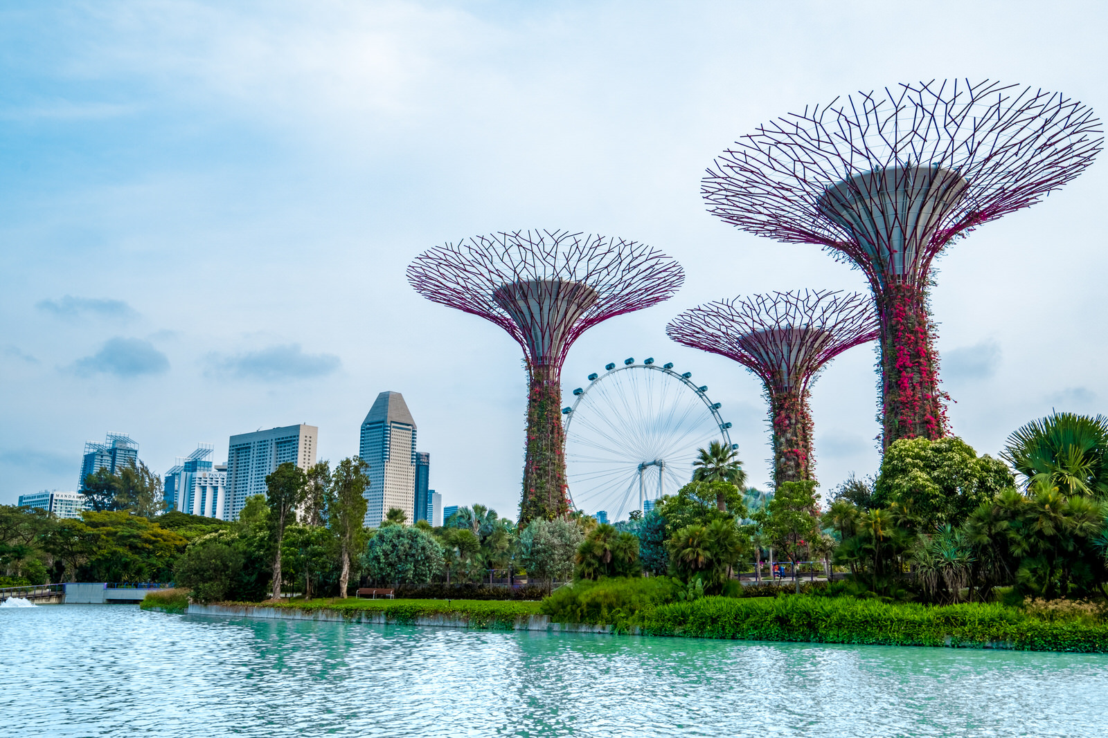 Gardens by the Bay, Singapore photos - Dragonfly Lake