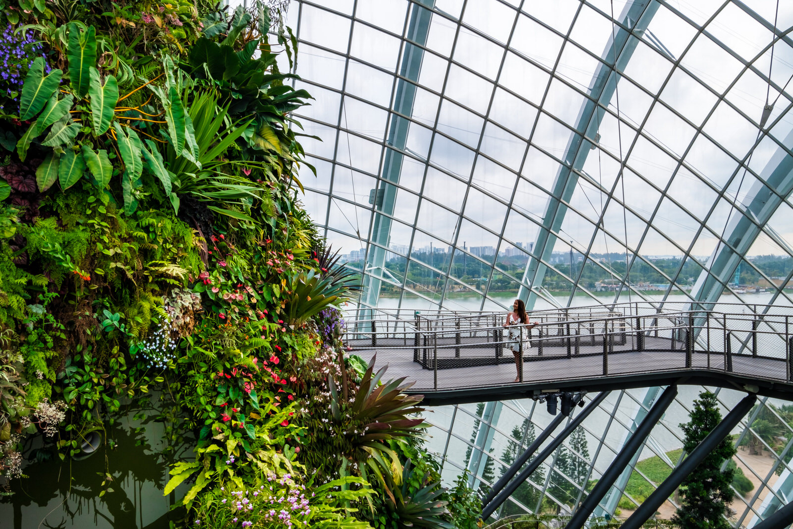 Gardens by the Bay, Singapore photos - Cloud Forest Walkway