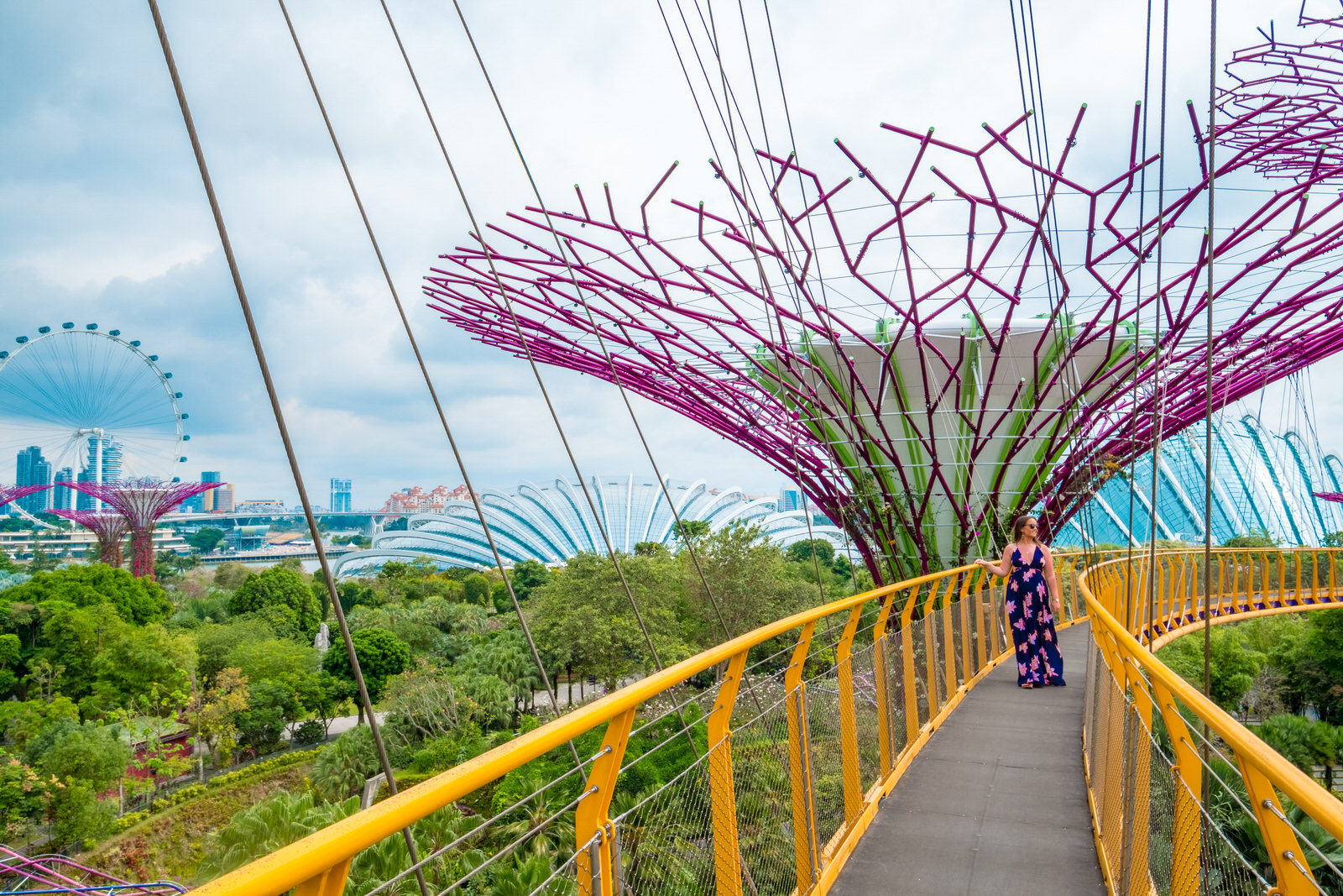 Gardens by the Bay, Singapore photos - OCBC Skyway Supertree Grove