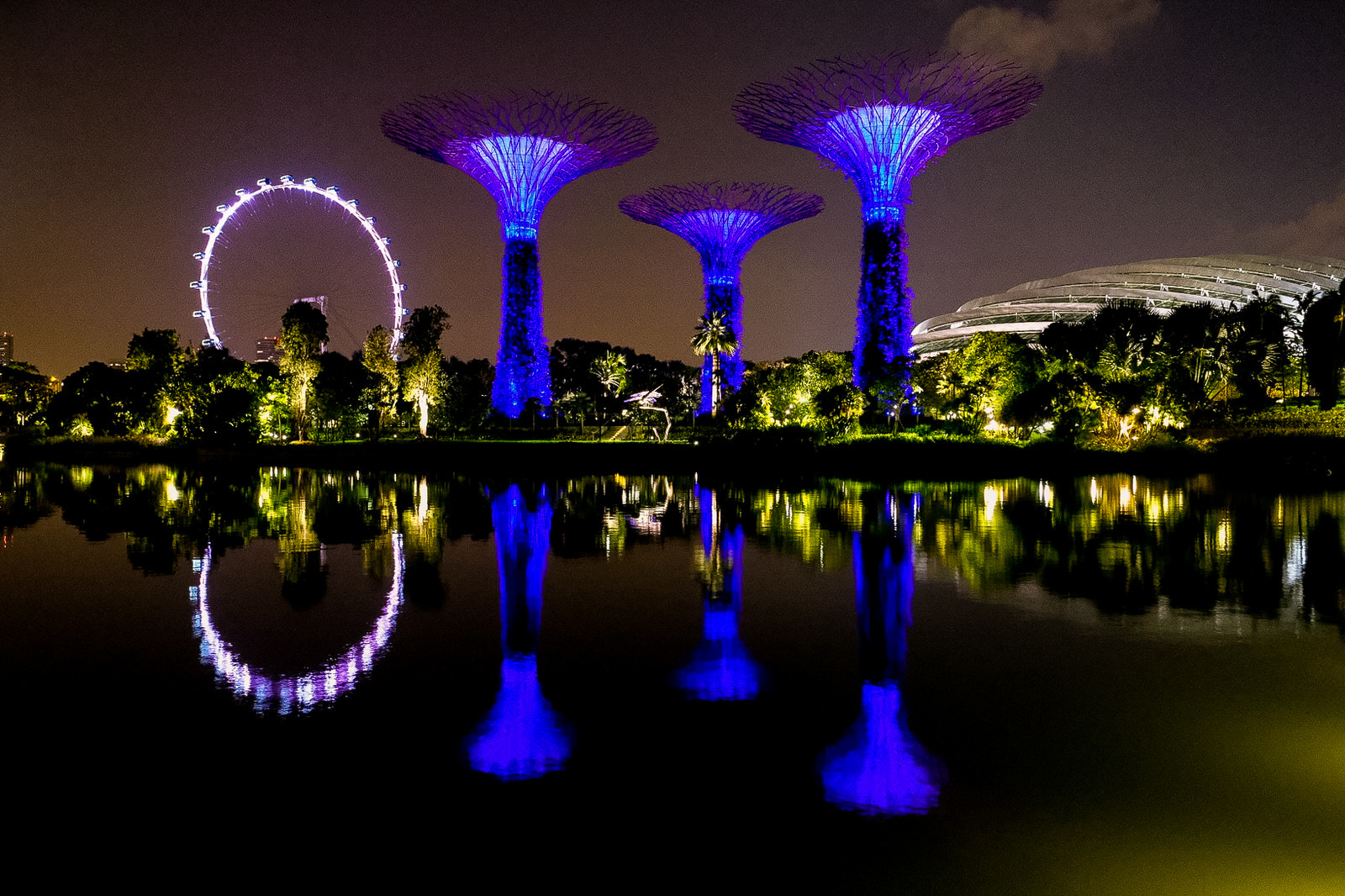 What to see and do in Singapore - Garden by the Bay at night, Singapore