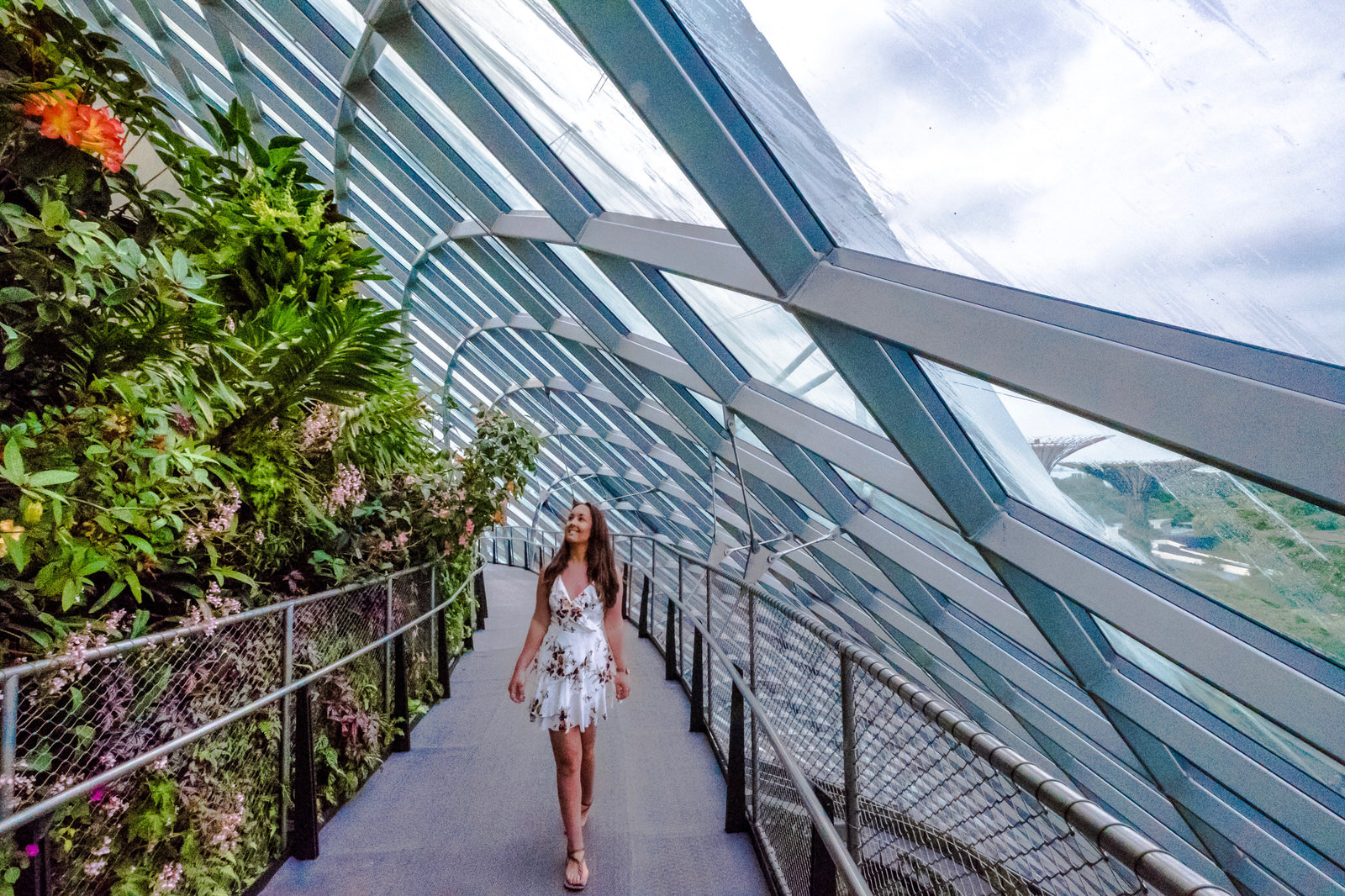 Gardens by the Bay, Singapore photos - Cloud Forest walkway