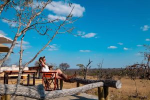 Baobab Ridge Safari Lodge - Poolside views, Klaserie, Kruger, South Africa