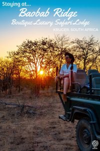 Staying at Baobab Ridge, Klaserie, Kruger, South Africa: A Review