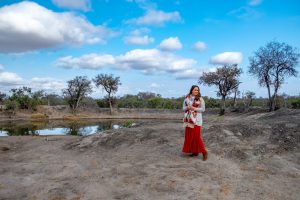 Baobab Ridge Safari Lodge - Exploring the bush, Klaserie, Kruger, South Africa