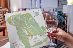 Exploring Constantia Wine Route - Klein Constantia wine tasting, Cape Town, South Africa