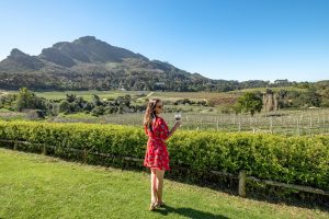 View from Constantia Glen, Cape Town, South Africa