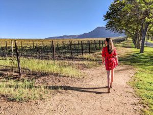 Exploring Constantia Wine Route - Groot Constantia wine tasting and vineyards, Cape Town, South Africa