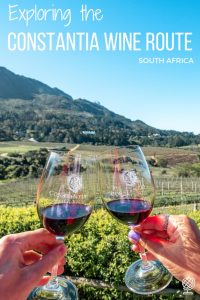 Exploring the Constantia Wine Route, Cape Town, South Africa