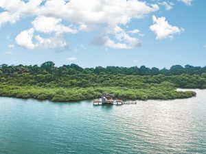 Arial view of Tranquilo Bay, Bocas del Toro, Panama