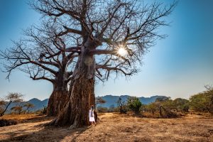 Safari stop under the Baobab tree with Pafuri Camp, Kruger, South Africa