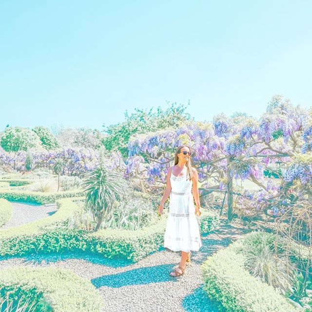 I’ve never really noticed the beautiful wisteria before but this year I’m on the wisteria hysteria train! 🌸 what isn’t there to love about these stunning colours? 😍
.
Hit me up with your best wisteria spots in London, I’ll be on the hunt for more at the weekend 🧐📍Fulham, London
.
#wisteriahysteria #fulhampalace #springinlondon #prettylittlelondon #londonlife I’ve never really noticed the beautiful wisteria before but this year I’m on the wisteria hysteria train! 🌸 what isn’t there to love about these stunning colours? 😍
.
Hit me up with your best wisteria spots in London, I’ll be on the hunt for more at the weekend 🧐📍Fulham, London
.
#wisteriahysteria #fulhampalace #springinlondon #prettylittlelondon #londonlife