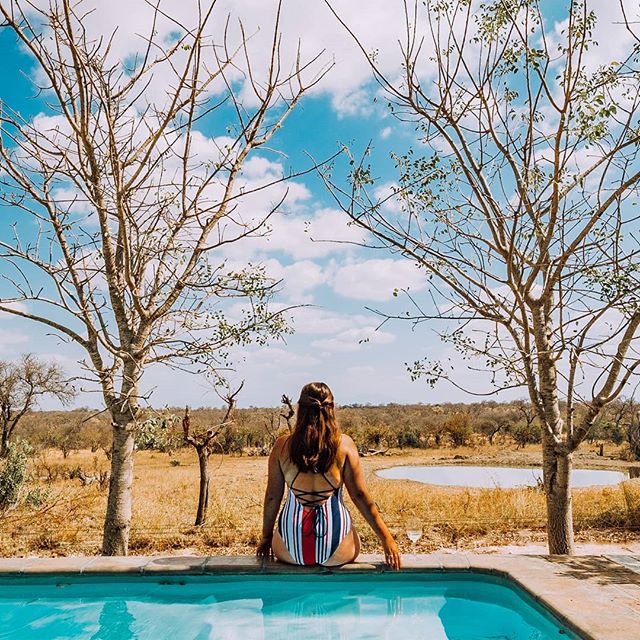For those of you who know me, there's a fair chance you'll bump into me on holiday with a glass of wine in hand 🙈 what can I say- watching the animals at the watering hole @baobab_ridge made me thirsty 🤷
.
.
We've explored some of the world's best wine regions, but there's so many to see and taste 🍷now it's time to tick off one of my favourite appellations - CHAMPAGNE 🥂🍾
.
.
PHOTO TIP: There are several photo editing tools which allow you to touch up those details which are irritating you in your shots - use Retouch or Adobe Lightroom to get rid of that fencepost which is sticking out right in the middle! 👋
.
.
#southafricathroughmyeyes #krugernationalpark #visitsouthafrica #sheisnotlost #dametraveler