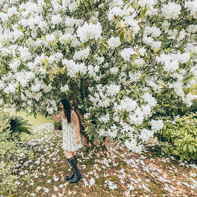 Throwback to the last time we went away, to the beautiful @holbeck_ghyll in the Lake District. Tonight we are off to South Africa and Mozambique and I cannot wait! Safari, beaches and diving awaits 😍 Where’s your next adventure? 🌍 .
.
.
TRAVEL TIP: Whilst you're exploring Cumbria, take time to venture along the hidden paths and wooded areas around the wonderful lakes to discover gems like this tucked away!
.
.
.
👢: @ariateurope .
#lakedistrictnationalpark #visitcumbria #lakedistrict #sheisnotlost #dametraveler