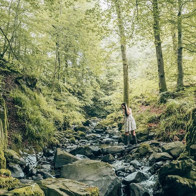Perched above Lake Windermere with sweeping views across the Lake District sits the magical @holbeck_ghyll You can wander through this magical forest all the way to the water's edge 🏞️
.
.
.
BEHIND THE GRAM: Although I love the colours and composition of this shot, the rocks were covered in damp moss meaning they were so slippery I almost ended up in the stream with them! 🙈 Cue several shrieks and arm flapping as I found a stable rock!
.
.
👢: @ariateurope .
.
#visitcumbria #lakedistrict #cumbrialife #lakedistrictnationalpark #sheisnotlost