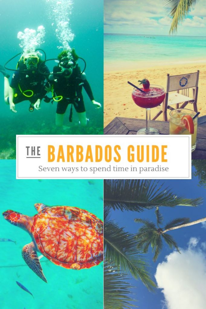 7 Alternative Ways to Spend Time in Barbados • The Travelling Stomach