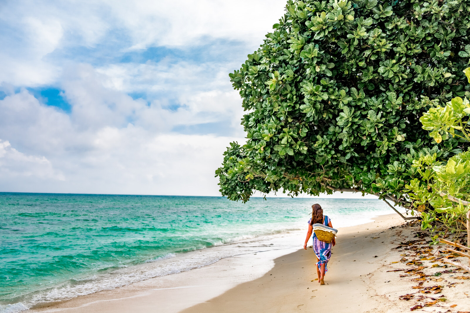 Joy island male