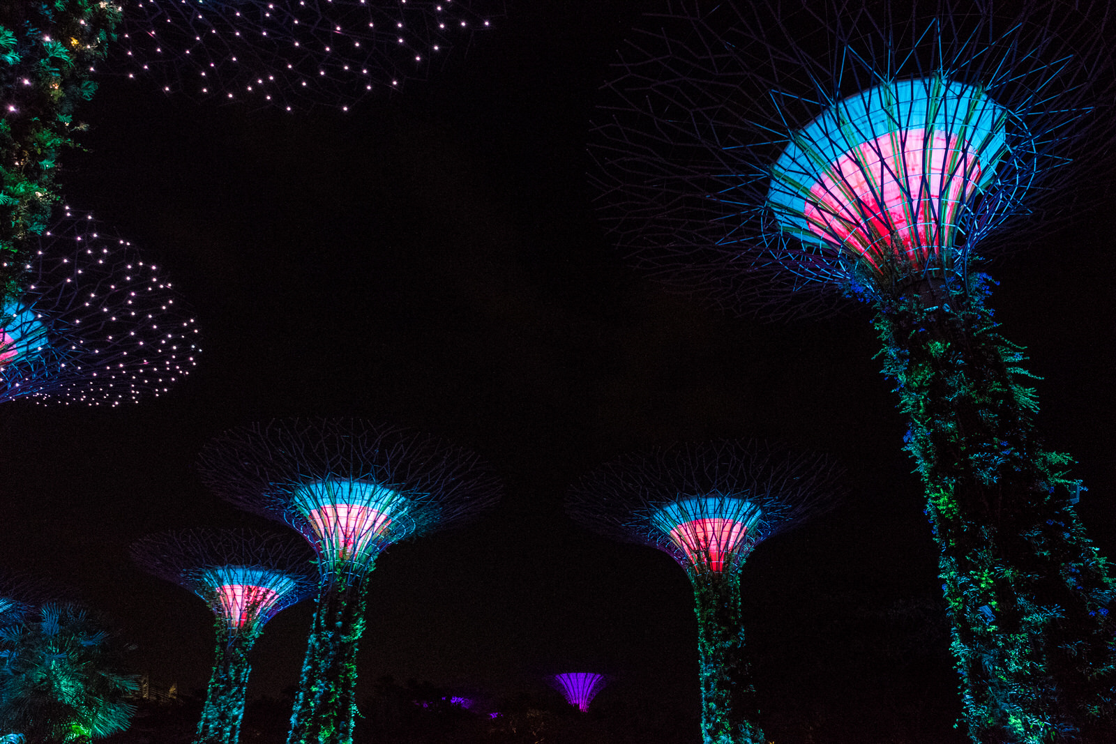 Gardens By The Bay Photography Tips & Best Photos • The Travelling Stomach