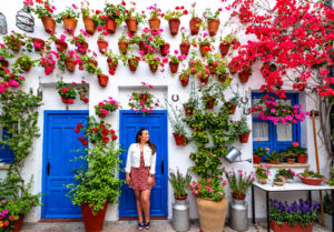 Fiesta del patios, Cordoba, Andalucia