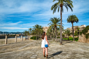 Palm trees by Palma Cathedral in Palma de Mallorca, Spain