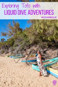 Exploring Tofo with Liquid Dive Adventures: A Review, Mozambique