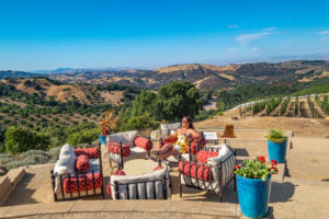 DAOU Wine tasting with Toast Tours in Paso Robles, California