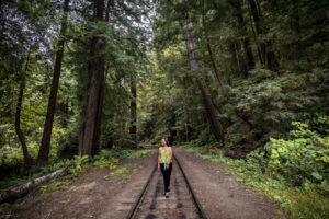 Skunk Train Route through the redwoods in Fort Bragg, Mendocino, California