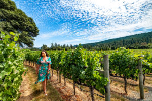 Wandering through the vineyards at Goldeneye Winery, Anderson Valley, Mendocino, California