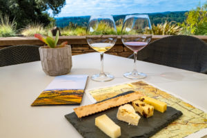 Cheese and wine pairing at Gary Farrell, Sonoma, California