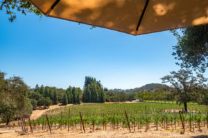 Chateau Block tasting spot at Jordan Winery, Sonoma, California