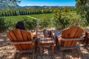 Wine tasting in Sonoma, California