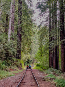 Riding the Skunk Train Railbikes through the redwoods in Fort Bragg, Mendocino, California