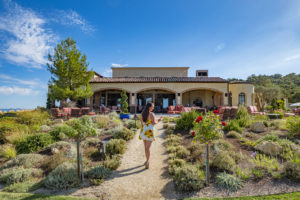 Daou Winery and vineyards with Toast Tours in Paso Robles, California