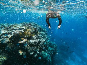 The Great Barrier Reef, Queensland, Australia