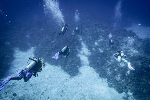 Scuba diving with Sunset House dive resort, Grand Cayman